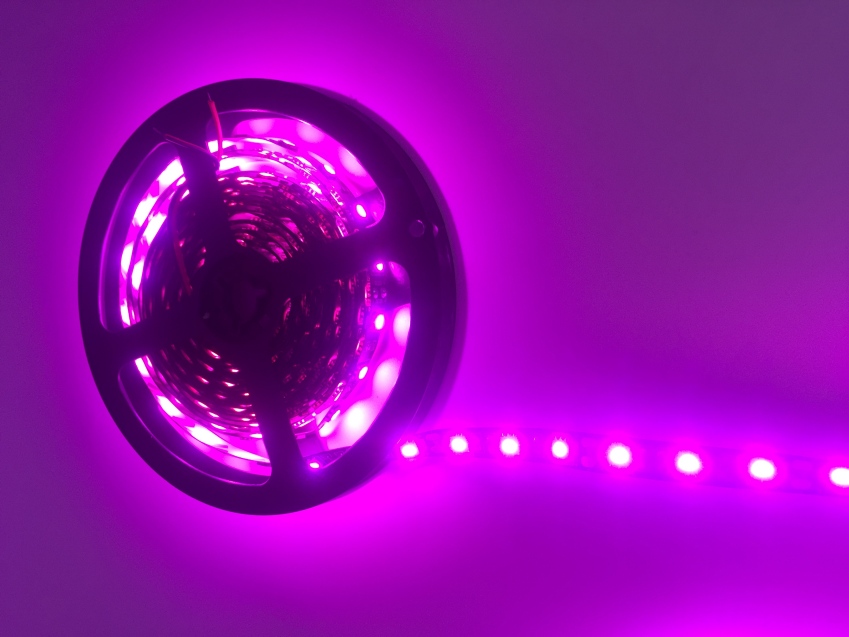 5M_300LEDs_12V_5050_Pink_2