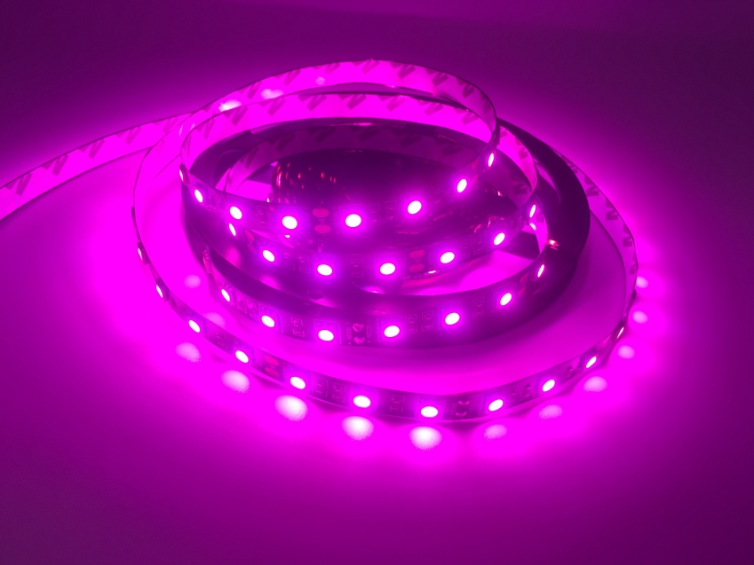 5M_300LEDs_12V_5050_Pink_3
