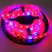 5 Meters 12V Plant Growing 5050 Red Blue Flexible Led Light Strips