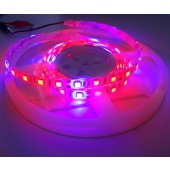 Red/Blue 4:1 5050 Plant Growing LED Strip Light Hydroponic 12V