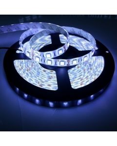 16.4Ft 300 LEDs SMD 5050 White Waterproof Flexible Strip Light IP65
