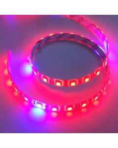 Plant Growing 5050 LED Strip Red Blue 8:1 Light Hydroponic 12V 5M