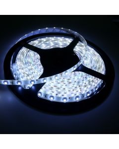 24V SMD 3528 White/Warm White Flexible LED Light Strip 60LED/M