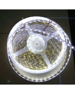 24Vdc 20M Continuous 5050 Single Color Flexible LED Strip Tape Light