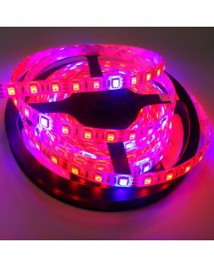 16.4ft 12V Plant Growth Light 5050 Flexible Led Strips Red Blue 5M