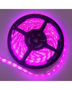 5M 3528 Pink Color LED Flexible Strip Light 12V 300 Leds Tape LIght
