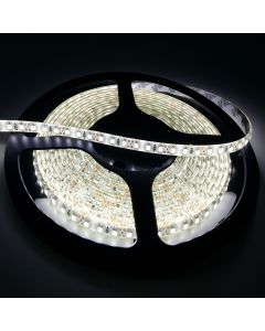 High Lumen 12V DC SMD 2835 IP65 LED Strip Light 5M 600LEDs