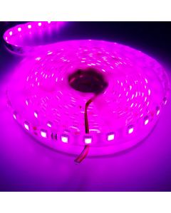 Pink 16.4ft 5050 Flexible Led Tape Strip Light 5M 300leds 24V DC IP65