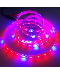 Red/Blue 4:1 5050 Plant Growing LED Strip Light Hydroponic 12V 5M