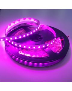 SMD 3528 Pink Flexible Led Strip Light 5m 600 Leds Non-Waterproof