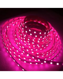 SMD 5050 Pink Flexible Strip Light 5M 300 Leds Non-Waterproof